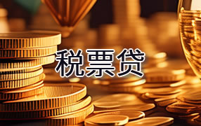 湘西税票贷